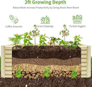 Land Guard 8×4×2ft Galvanized Raised Garden Bed, Planter Boxes Outdoor, Raised Garden Beds Outdoor for Vegetables, Flowers, Herbs, 479 Gallons, Cream Yellow… by CozyNest Decor