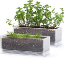 D'vine Dev 12 Inch Window Box Planter, Rectangle Plastic Herb Planter with Drainage Holes and Saucer, Indoor Succulent Cactus Vegetable Pot for Windowsill, Garden Balcony, Clear, Set of 2, 76-X-D-2 by GreenHaven Gardens