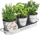Barnyard Designs Indoor Herb Garden Planter Set with Tray, Metal Windowsill Plant Pots with Drainage for Outdoor or Indoor Plants, Set/3 (Galvanized) by GreenHaven Gardens