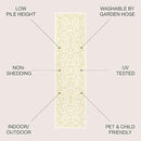 JONATHAN Y SMB106M-210 Charleston Vintage Filigree Textured Weave Indoor Outdoor Runner Rug, Classic,Traditional,Transitional Easy Clean,Bedroom,Kitchen,Backyard,Patio, Non-Shed, Cream/Yellow, 2 X 10 by GreenHaven Gardens