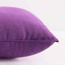 NTBAY Toddler Pillows, Down Alternative 13"x18" Pillows, Machine Washable - Soft and Breathable Travel Small Pillows for Sleeping, Ideal for Daycare, Crib, Cot, Purple by TinyTreasures Baby Boutique