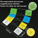 Microscope Slides with Specimens for Kids, 30 Lab-Grade Prepared Microscope Slides, Animal Plant Microbe Cells, STEM Biology Kit for Kids Ages 6-8 Homeschool, Classroom Labs & Science Education by TinyTreasures Baby Boutique