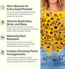 Eden Brothers All Annual Wildflower Mixed Seeds for Planting, 1 lb, 480,000+ Seeds with Sunflower, Indian Blanket, Scarlet Flax | Attracts Pollinators, Plant in Spring, Zones 3, 4, 5, 6, 7, 8, 9, 10 by GreenHaven Gardens