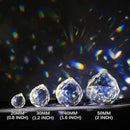 Crystalsuncatcher Clear Glass Crystal Ball Prism Feng Shui Lamp Hanging Drop Chandelier Pendants Suncatchers Pack of 12 pcs(20mm) by GreenHaven Gardens