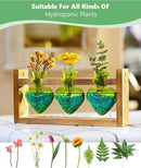 Nacome Plant Terrarium for Office Decor: Birthday Gifts for Plant Lovers Women Mom Wife - Wooden Stand Tabletop Planter 3 Bulb Glass Vase Heart Shaped for Hydroponics Indoor Home(Green) by CozyNest Decor