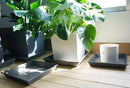 Square Plant Saucer 18 Inch 2 Pack, Large Plant Trays for Pots Heavy Duty Gray Plastic Plant Saucers for Indoors Outdoors, Flower Pot Plant Drip Trays No Holes Plant Lover Gardening Gifts by GreenHaven Gardens