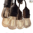 Hometown Evolution, Inc. E26 Outdoor Commercial String Lights with Suspended Socket for Weatherproof Heavy Duty Vintage Outside Lighting (S14 Lantern Edison 11 Watt Bulbs, 24 Foot 12 Socket) by GreenHaven Gardens