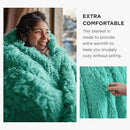 Bedsure GentleSoft Fluffy Aruba Blue King Size Blanket for Bed, Thick Soft Sherpa Faux Fur Fleece Bedding Fuzzy Plush Winter Warm Heavy Big Large King Blanket, Cozy Blue Gifts for Men Women, 108x90 by CozyNest Decor