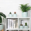 Mini Succulent Planter Set – 3.7 Inch Ceramic Pots with Drainage for Indoor Plants, Small Decorative Flower Pots for Cactus and House Plants, Set of 4 by CozyNest Decor