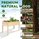 BSP Raised Garden Bed with Legs Outdoor Elevated Planter Box Flower Bed Wood Planter for Vegetable Herb Upgraded Solid Structure Growing Box Suitable for Backyard Patio and Balcony, 48”L X 24”W by CozyNest Decor
