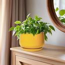G EPGardening Ceramic Plant Pot - 6 Inch Ceramic Planter with Drainage Hole and Tray, Modern Round Planter, Flower Pot for Indoor Outdoor Plants, Plants Lovers Gifts, House Garden Decor, Yellow