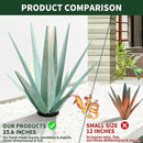 Large Tequila Rustic Sculpture, Rustic Metal Agave Plants for Outdoor Patio Yard, Home Decor Hand Painted Metal Agave Garden Yard Statue, Outdoor Lawn Ornaments (Rose Red - L (W/Solar Light)) by GreenHaven Gardens