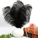 THARAHT Black Ostrich Feathers 12pcs Large Natural Bulk 20-22Inch 50cm-55cm for Wedding Party Centerpieces Halloween and Home Decoration Feathers by CozyNest Decor