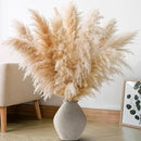 10 PCS 40" Tall Pampas Grass Stems in Natural Beige, Add a Boho Touch to Your Space—Pompas Grass Ideal for Floral Arrangements, Floor Vases, Weddings, and Creating a Bohemian Ambiance at Home. by CozyNest Decor