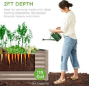 Best Choice Products 4x2x2ft Outdoor Metal Raised Garden Bed, Deep Root Planter Box for Vegetables, Flowers, Herbs, and Succulents w/ 119 Gallon Capacity - Taupe by GreenHaven Gardens