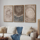 SIGNINART Beige Tree Ring Framed Canvas Wall Art Set, Abstract Black and White Rustic Wood Wall Decor, Neutral Wood Stump Artwork, Modern Art Prints for Bedroom Living Room Office 16"x24"x3 by CozyNest Decor