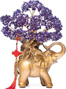 Amethyst Crystal Money Tree on Gold Elephant Statue, 17”Large Gemstone Bonsai Tree of Life Home Décor Gifts for Wealth Positive Energy, Feng Shui Décor by GreenHaven Gardens