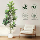 Artificial Fiddle Leaf Tree, 7ft Faux Plant Fake Ficus Lyrata Trees with White Planter, Artificial Fig Trees Floor Plants for House Office Living Room Indoor Home Decor, Housewarming Gift by CozyNest Decor