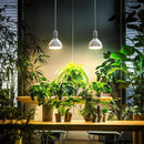 Barrina LED Grow Light Bulb, 50W (2 x 25W) Full Spectrum, with 16.4FT Power Cord, Hanging Grow Lights for Indoor Plants, Large Tall Plant, Garden, Flowers, Greenhouse, 2-Head by GreenHaven Gardens