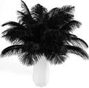 THARAHT Black Ostrich Feathers 12pcs Natural Bulk 8-10Inch 20cm-25cm for Crafts Wedding Party Centerpieces Halloween and Home Decoration Feathers by CozyNest Decor