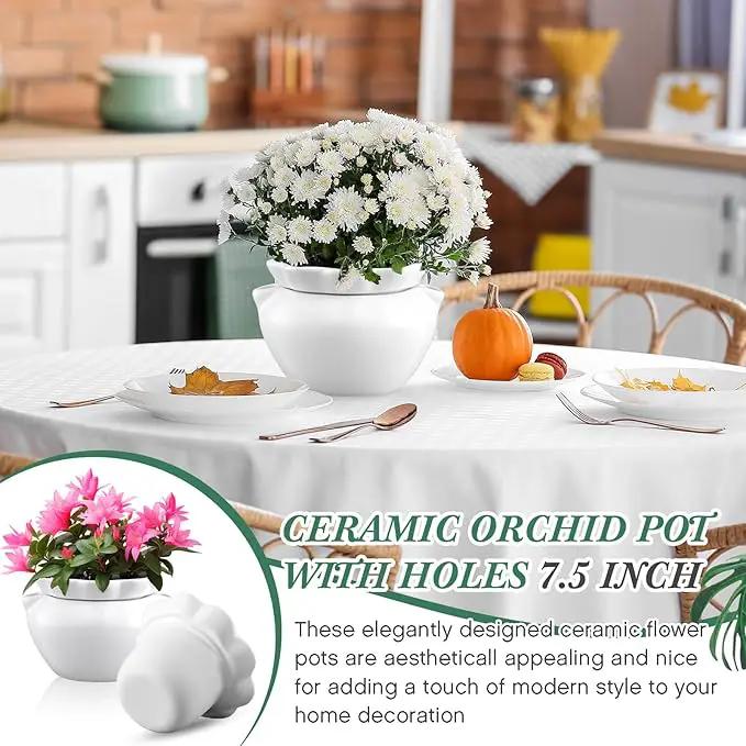 4 Set 6 Inches African Violet Pots Self Watering White Ceramic Pot for Indoor Plants, Flowerpot with Highly Absorbent Inner Pot for Busy Plant Lovers,Plant Care, photo 6 of 6