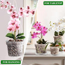 REMIAWY Orchid Pot, 12 Orchid Pots with Holes and 9 Saucers, 3 Each of 4.1, 4.8, 5.7 and 6.4 Inch Clear Flower Planter for Repotting, Plastic Breathable Plant Nursery Planters with Drainage by GreenHaven Gardens