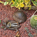Key Hider Outdoor Turtle Cast Iron Hidden Spare Key Holder Outside Garden Indoor Decoration by GreenHaven Gardens