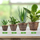 16 Inch Large Planter Pot for Plants Indoor Outdoor, 4 Pack Plastic Flower Pots with Drainage Hole & Tray, Modern Decorative Garden Pot with Saucer, Plant Container for House by GreenHaven Gardens