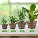 10 Inch Flower Pots Planters for Indoor Outdoor Plants, 3 Pack Plastic Large Plant Pots with Drainage Hole & Tray, Modern Decorative Garden Pot with Saucer, Plant Container for House by GreenHaven Gardens