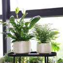 8 Inch + 6 Inch Ceramic Plant Pots Indoor with Drainage – Flower Pot Set, Decorative Indoor Planters for House Plants and Garden Use by CozyNest Decor