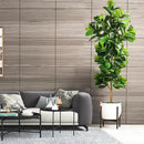 7.3ft Artificial Fiddle Leaf Fig Tree (87in) with Plastic Nursery Pot Faux Tree, Ficus Lyrata Fake Plant for Office House Farmhouse Living Room Home Decor (Indoor/Outdoor) by CozyNest Decor