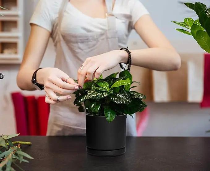 D'vine Dev Set of 4 Small Ceramic Plant Pots, 4.6 Inch Succulent Planter Pot for Plants with Drainage Hole and Saucer, Black, 94-X-B-2, photo 6 of 7