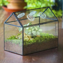 NCYP Glass Terrarium with Lid and Air Holes for Snails, Succulents Plants, Small Cactus - 10.2" x 5.9" x 8.2" House Shape Geometric Clear Box, Indoor Tabletop Decor Black (Terrarium Only) by CozyNest Decor