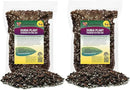 Premium Monstera Dubia Potting Mix - Hand-Crafted with The Finest Ingredients - 10 Quart (2 Bags of 5 Quart) by GreenHaven Gardens