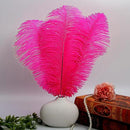 THARAHT Hot Pink Ostrich Feathers 12pcs Large Natural Bulk 12-14Inch 30cm-35cm for Wedding Party Centerpieces Easter Gatsbi and Home Decoration Feathers by CozyNest Decor