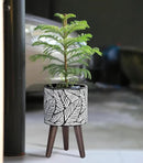 D'vine Dev 8 Inch Planter Pot with Stand, Mid-Century Tall Plant Pot with Legs for Indoor Plants, Small, White/Grey, 88-L-A-7 by GreenHaven Gardens