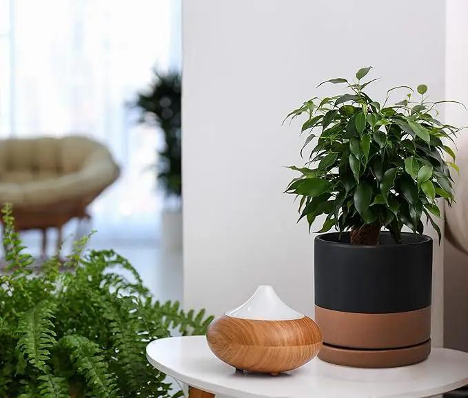 D'vine Dev Set of 2 Plants Pots, 8 Inch Ceramic Planter Pot for Plants with Drainage Hole and Saucer, Black/Speckled Tan, 94-V-D-7, photo 5 of 7