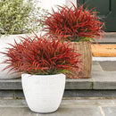 Uieke 12 Bundles Artificial Outdoor Plants UV Resistant Fake Grass Plants Faux Plastic Plants Greenery Shrubs for Home Garden Pathway Window Box Front Porch Cemetery Fall Decor, Autumn Red by GreenHaven Gardens