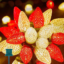 Brightown C9 LED Christmas String Lights, 66ft 100 LED Waterproof Strawberry String Lights, Plug-in Extendable Green Wire Lights String for Outdoor Outside Patio Party Decoration, Red and Warm White by GreenHaven Gardens
