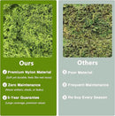Potanro Faux Green Moss 5.3oz Artificial Fake Plant Moss Preserved Moss for Potted Plants Indoor Plants, Crafts, Planters, Bonsai Artifcial, DlY Floral Decorative Moss, Garden Wedding Decor by CozyNest Decor