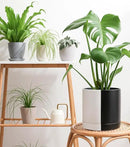 D'vine Dev 10 Inch Ceramic Planter Pot with Drainage Hole and Saucer, Indoor Cylinder Round Planter Pot, Split Monochrome Black & White, 94-O-E-0 by GreenHaven Gardens