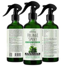 3-1-2 Fiddle Leaf Fig Foliar Spray - Plant Shine & Fertilizer - Premium Spray for Indoor Plants with Essential Nutrients - Fiddle Leaf Fig Plant Food & Fertilizer - Ready-to-Use (8 OZ) by GreenHaven Gardens
