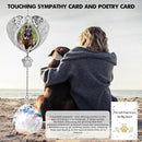 Pet Memorial Suncatcher - Dog Memorial Gifts for Loss of Dog, Christmas Pet Paw Print Photo Ornament, Pet Sympathy Gift, Bereavement Gift Ideas for Dog or Cat Passing Away, Remembrance, Silver Metal by GreenHaven Gardens