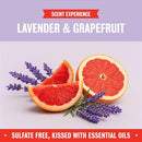 Rebel Green USDA Organic HE Liquid Fresh Laundry Detergent - Natural & Hypoallergenic Laundry Soap, Lavender and Grapefruit - 64 Loads by TinyTreasures Baby Boutique