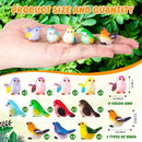 72PCS Miniature Cute Bird Decorative Figurines - Dollhouse Accessories, Mini Resin Birds Toy for Garden Crafts, Micro Landscape Home Meetings Decoration, Cake Topper (11 Styles) by GreenHaven Gardens