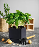 4 Inch Herb Planter Pot, Plastic Planter with Drainage Holes and Saucer, Modern Decorative Gardening Pot for Indoor Plants, Flowers, Herbs, Succulents, Black, Set of 2, 76-Y-B-2 by GreenHaven Gardens