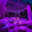 JMEXSUSS 400 LED Halloween Lights, 8 Modes Purple String Lights Indoor,132ft Purple Lights Outdoor Waterproof for Halloween, Christmas,Party,Xmas Tree Lights Decor, EXS-S-0400-R by GreenHaven Gardens
