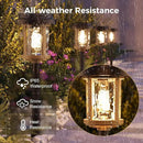 XMCOSY+ Solar Garden Lights Waterproof - 20 LM Solar Pathway Lights, Water Lens Glass Outdoor Lighting for Garden Yard Walkway Driveway Landscape (Warm White) by GreenHaven Gardens
