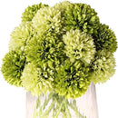 Kimura's Cabin 20Pcs Green Artificial Chrysanthemums Fake Silk Ball Flowers Mums Bouquets Arrangements Wedding Party Decor St Patricks Day Home Kitchen Garden Table DIY Floral Centerpieces (Green) by CozyNest Decor