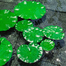 28 Pcs Realistic Lily Pads Leaves for Ponds, 4 Kinds Artificial Floating Foam Lotus Leaves, Water Lily Pads Foliage Pond Decor for Pond Pool Koi Fish Patio Aquarium by GreenHaven Gardens